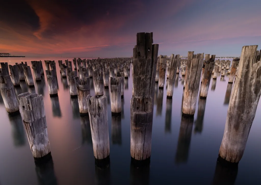 wooden posts in the water in a different angle and lighting